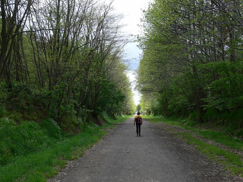 Mont Saint Michel 2010 - 321.jpg